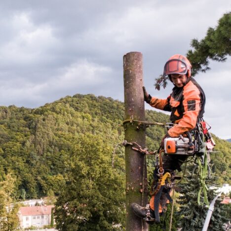 Odkurzacze piorące Karcher Puzzi 10/1 – jak skutecznie czyścić dywany i tapicerki?